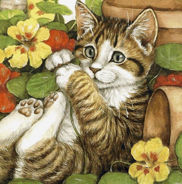 Котенок иллюстрация