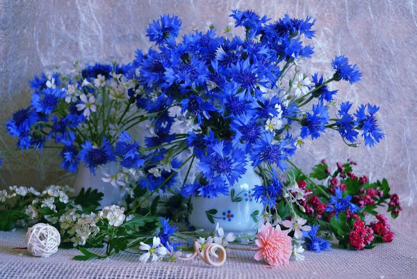 SL-Васильковое лето