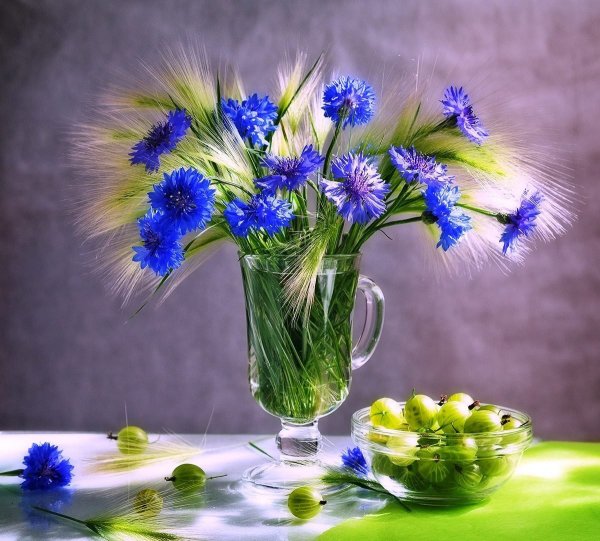 Васильки натюрморт