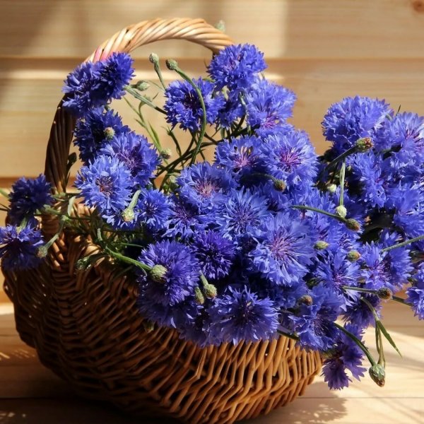 Корзина с полевыми цветами