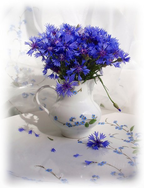 Букет Васильков в вазе