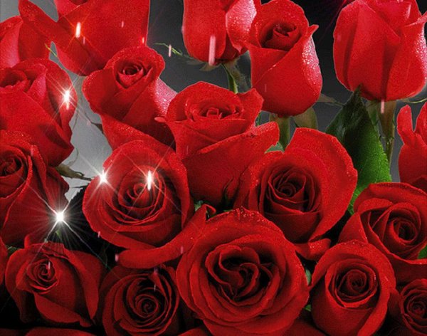 Мерцающие цветы