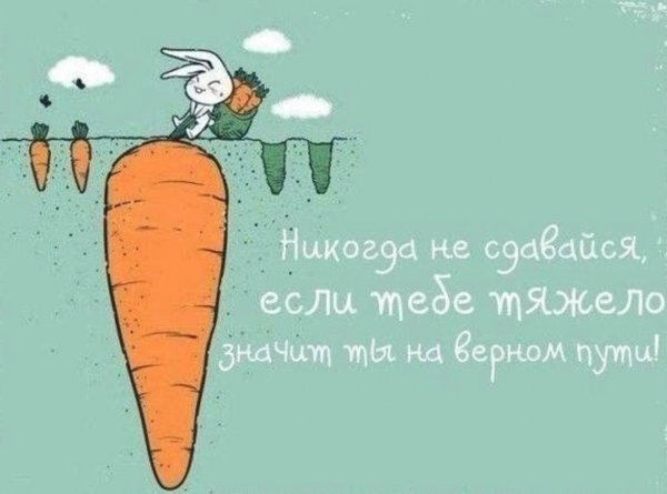 Мотивирующие цитаты с юмором