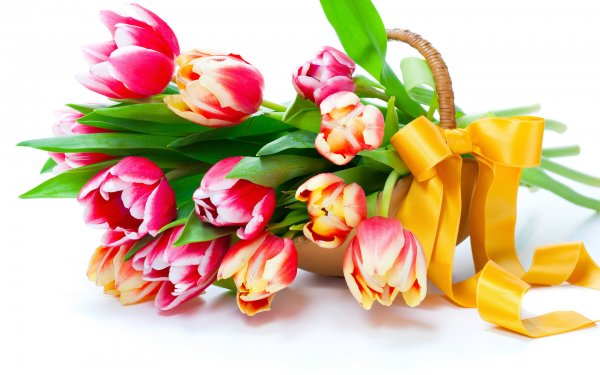 Цветы на 8 марта