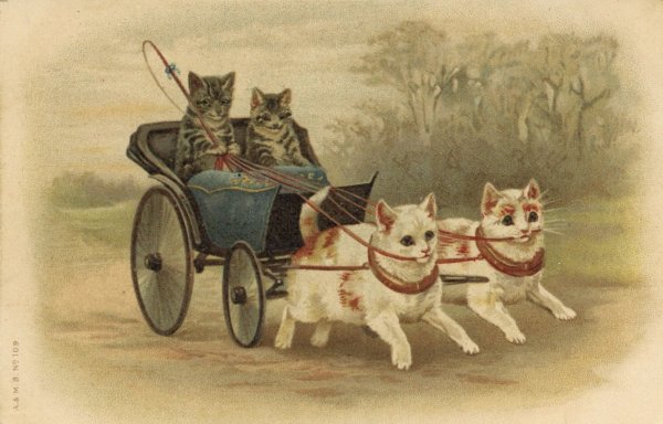 Кошачья упряжка