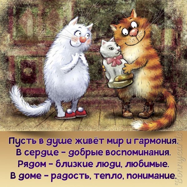 Коты Минской художницы Ирины Зенюк
