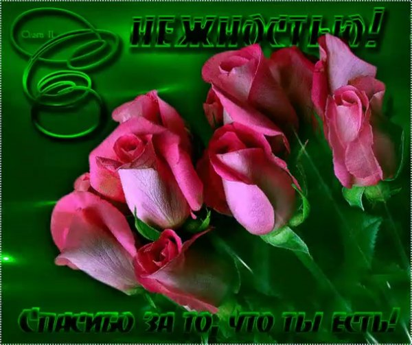 Открытка тебе с нежностью