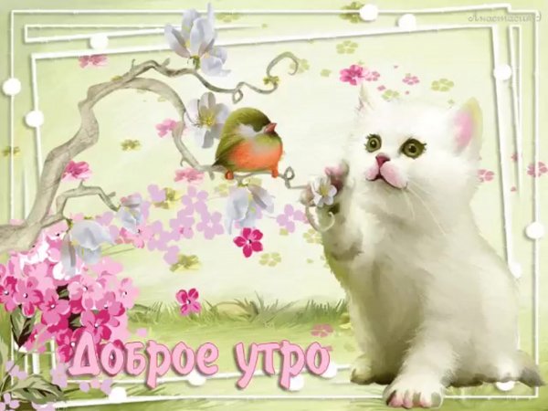 Доброе утро анимация