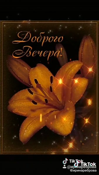 Добрый вечер открытки анимация