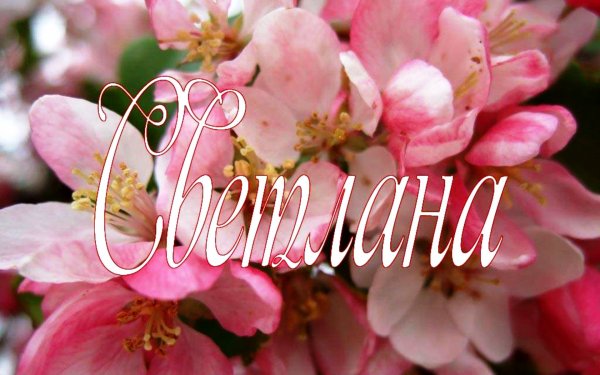 Именные открытки Светлана