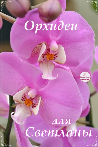 Открытки для Светланы просто так