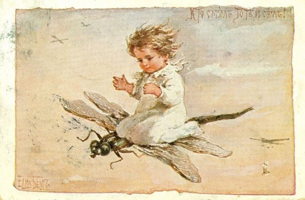 Бем Елизавета Меркурьевна художник