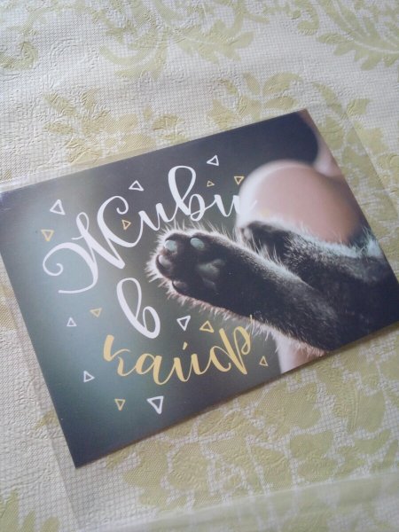 Открытка с минусом