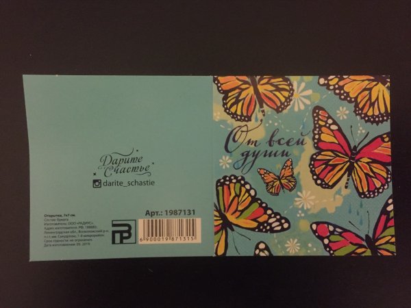 Стих пес пират