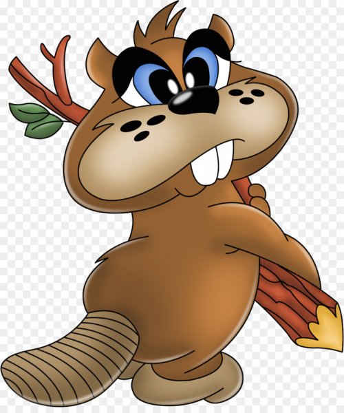 Крошка енот 1974