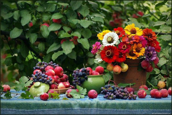 Цветы и фрукты