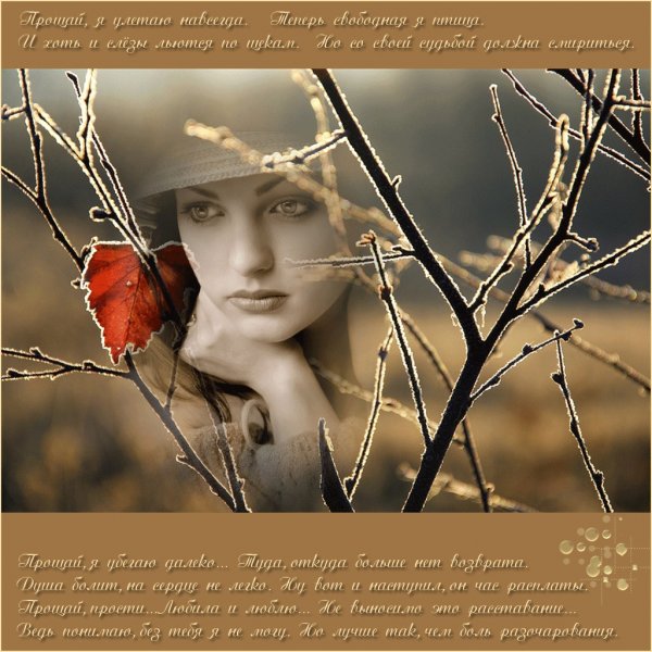 Открытки прости и Прощай