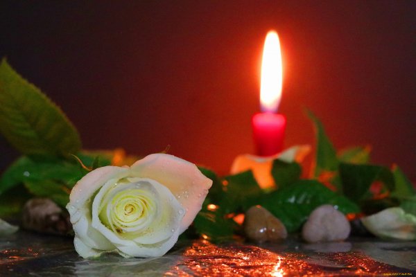Свеча памяти и цветы