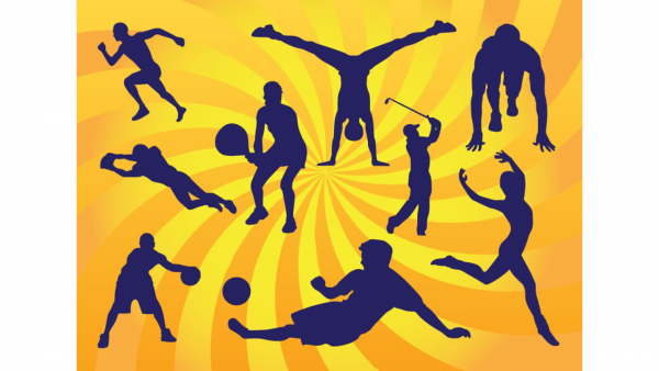 Физическая культура и спорт