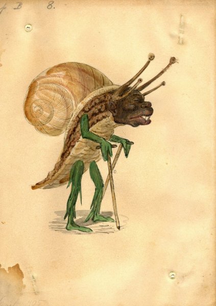 Эскизы костюма улитки