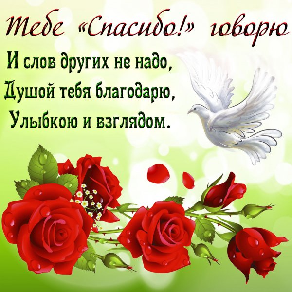 Открытки с благодарностью и пожеланиями