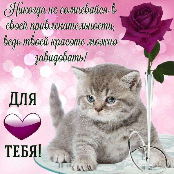 Самые красивые комплименты девушке