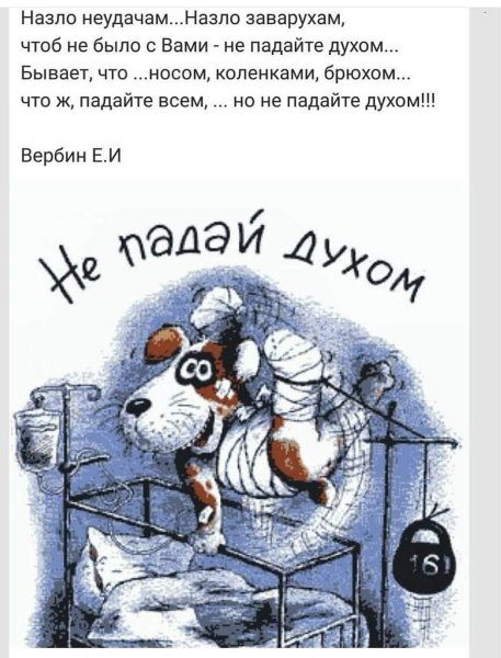 Пожелания выздоровления прикольные