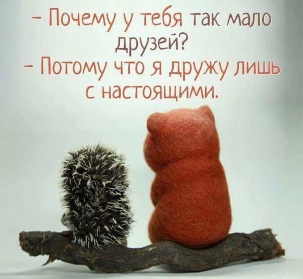 Открытки с поддержкой в трудную минуту