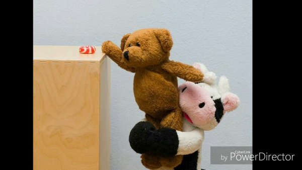 Помогайте друг другу