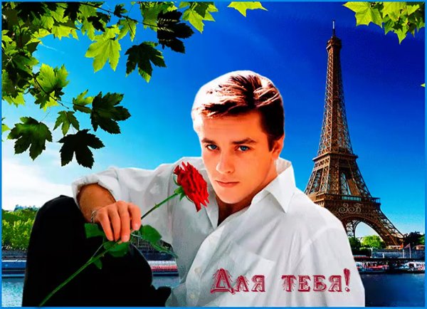 Открытка красавцы