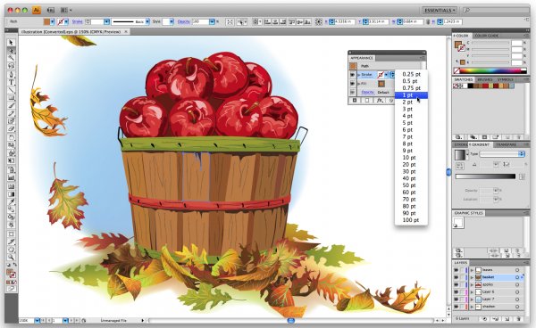 Векторный редактор Adobe Illustrator