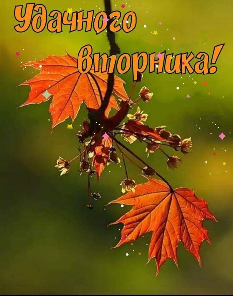 Красивые осенние картинки статусы