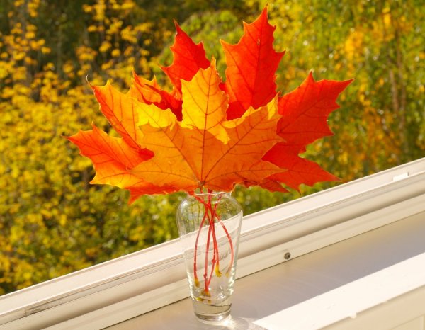 Осенний букет с кленовыми листьями