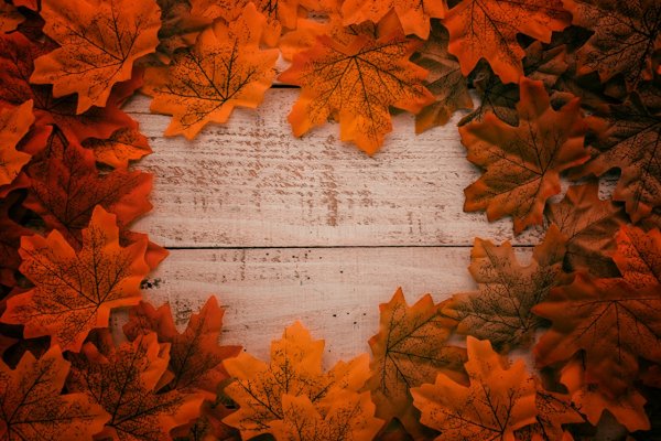 Кленовые листья фон