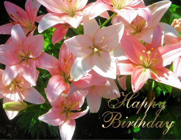 С днем рождения лилии