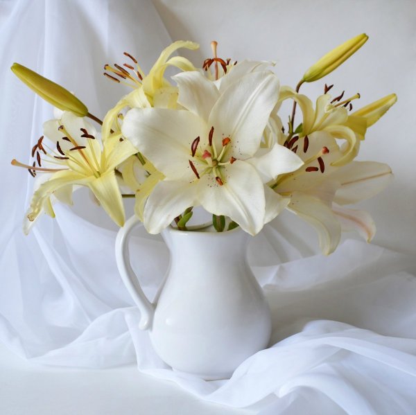 Белые лилии букет красивый