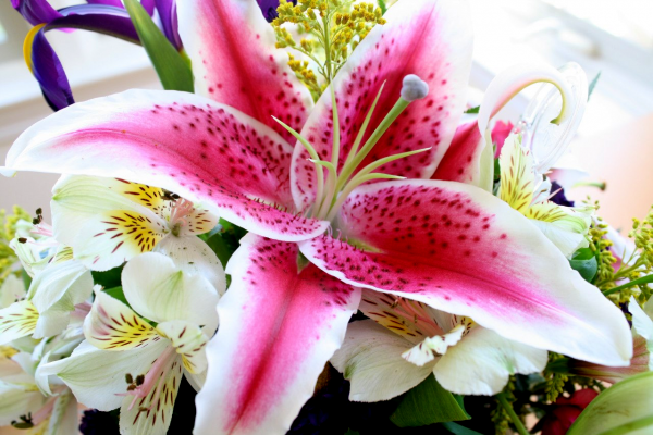 Букет лилий