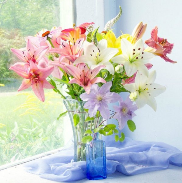 Шикарный букет лилий