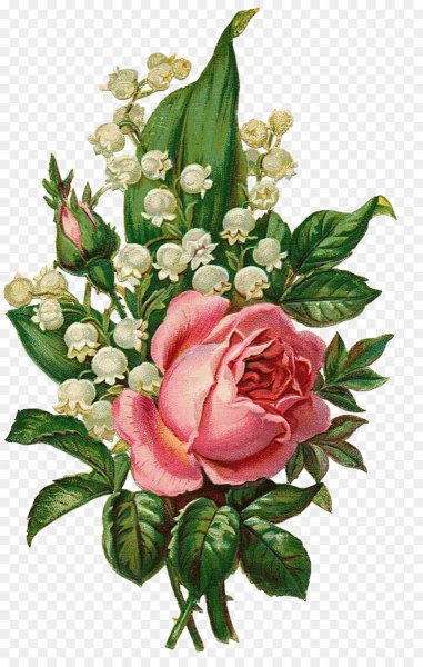 Открытки с изображением цветов