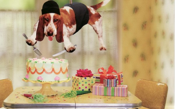 Торт собака