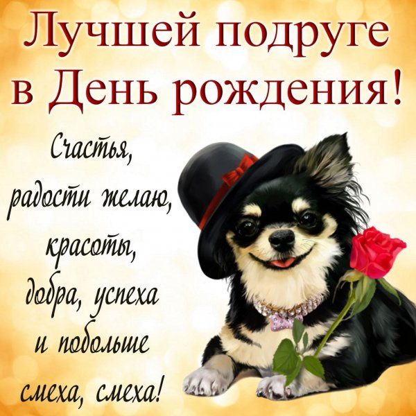 Поздравления с днём рождения подокге
