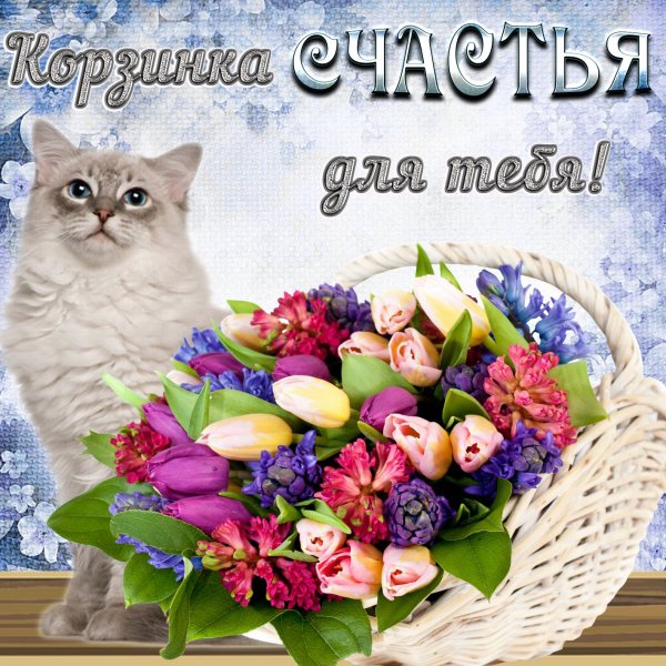 Поздравления для Одноклассн