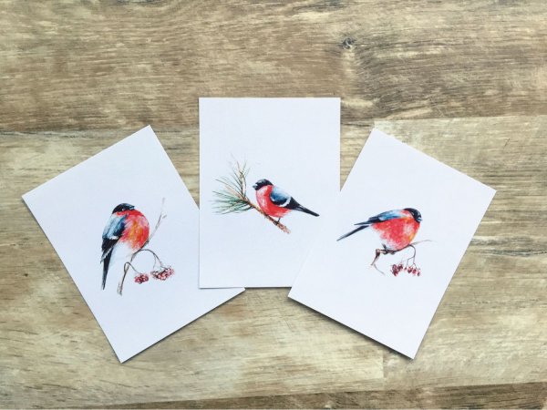 Новогодние открытки со снегирями