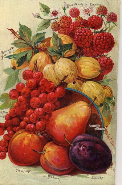 Винтажные фрукты