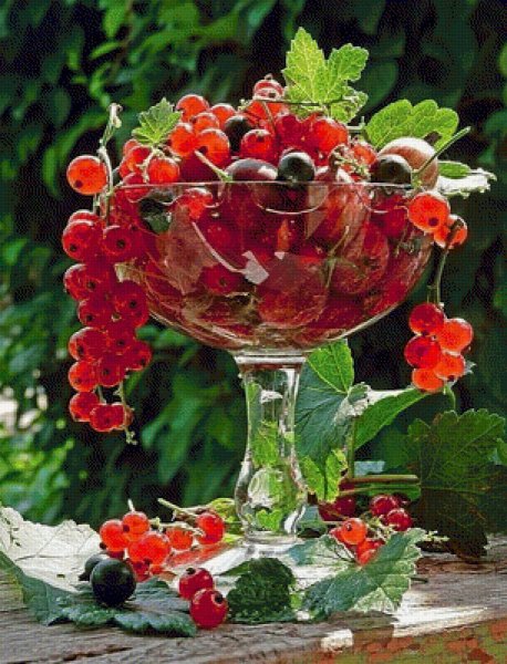 Фрукты и ягоды в вазе