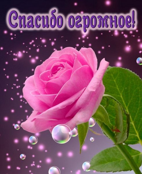 Спасибо открытки красивые