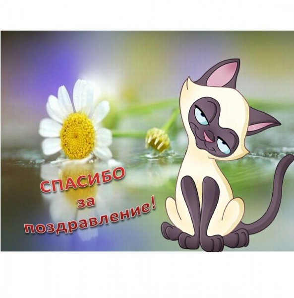 Открытка спасибо за поздравления