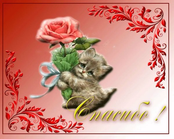 Благодарственные открытки друзьям