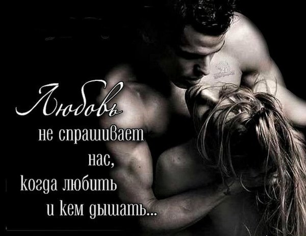 Красивые слова о страсти