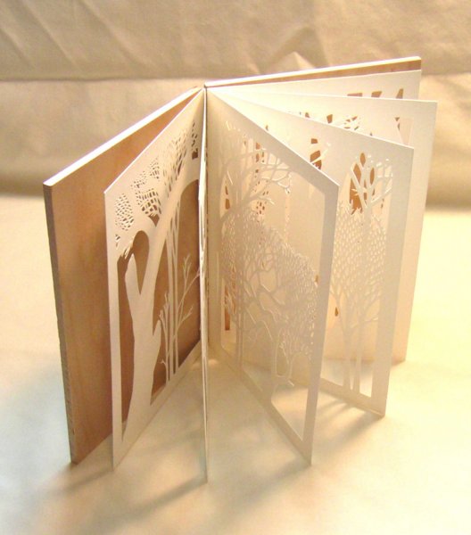 Макет книги